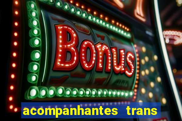 acompanhantes trans baixada fluminense